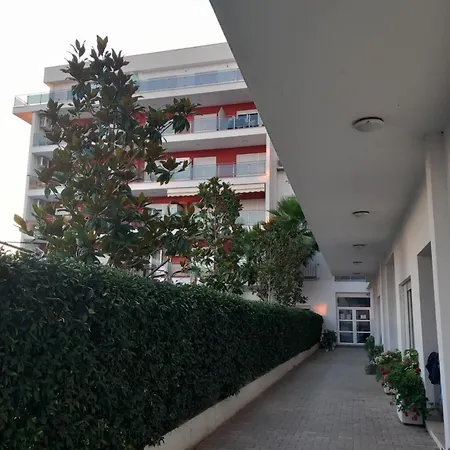 Loto * Shëngjin